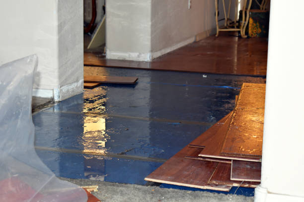 Professional Burst Pipe Water Damage technician working in Rifle, CO